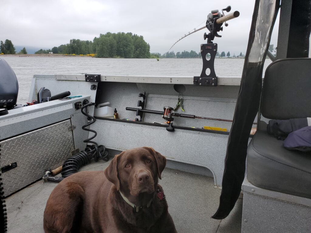 Sadie wants to go fishing