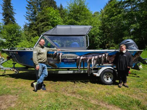 Limits of sea bass and ling cod hanging from the side of the boat after an Astoria Oregon Fishing Charter