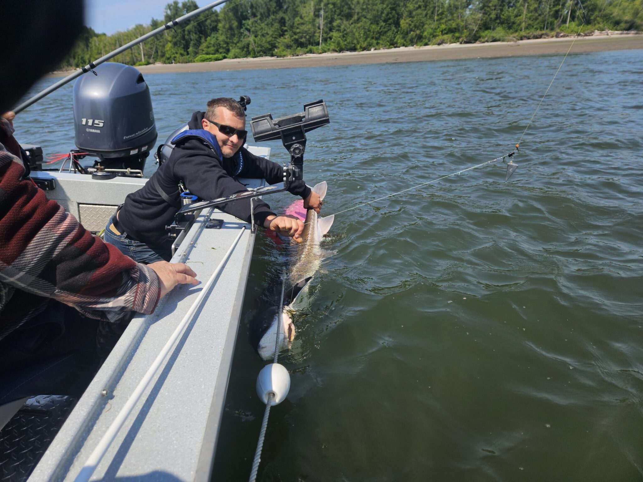 Jeremy showing off a Columbia River White Sturgeon that's a bit too big to take out of the water.