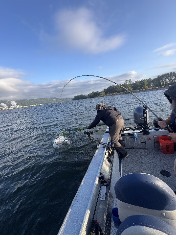 Jerad getting the net under a Columbia RIver Spring Chinook near Astoria Oregon