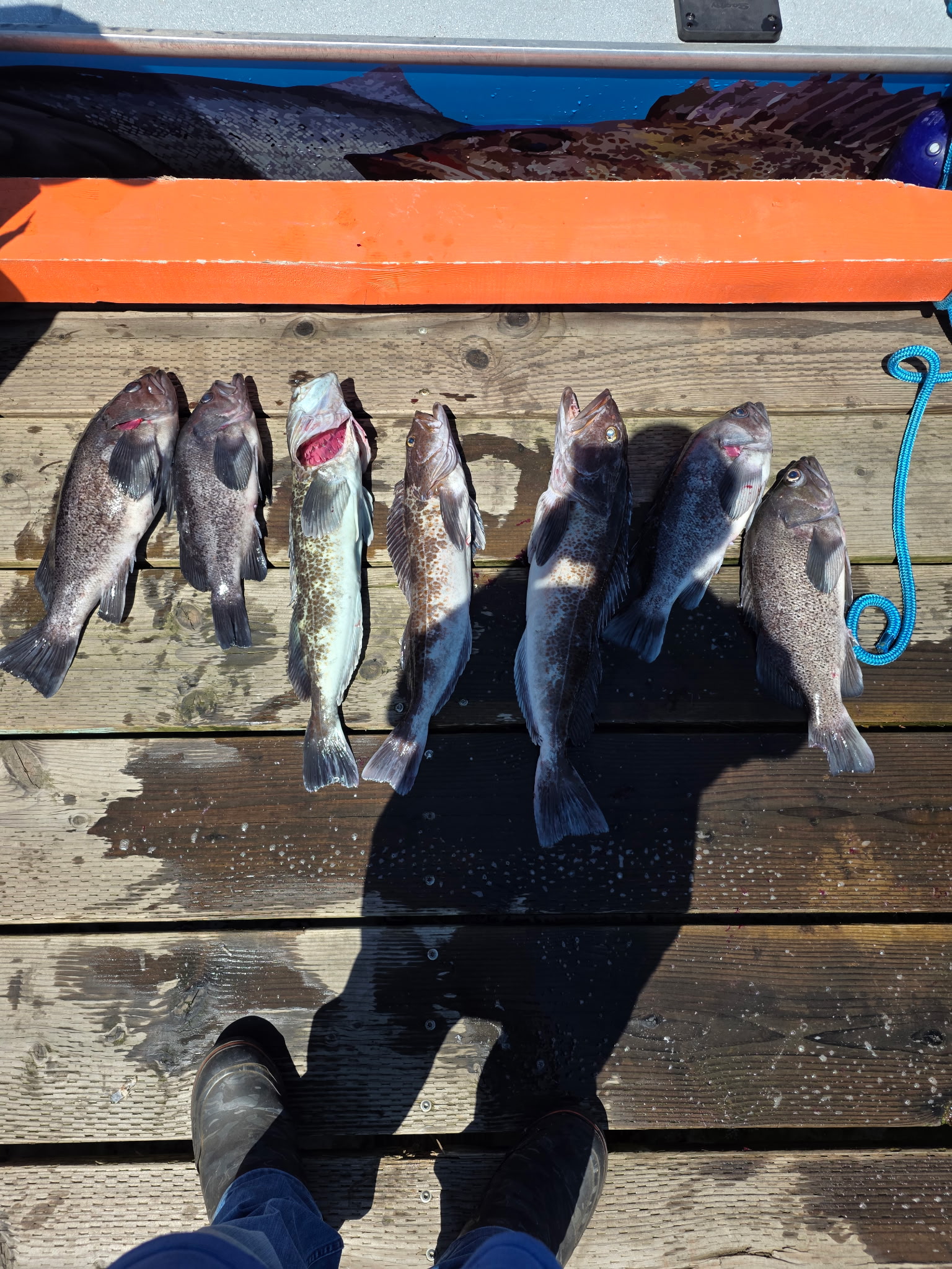 Astoria May 2026 Fishing Update: Lingcod and Rockfish Time!
