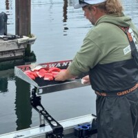 Jerad Filleting some beautiful salmon for his clients after a successful Astoria Salmon Charter Jerad Filleting some beautiful salmon for his clients after a successful Astoria Salmon Charter